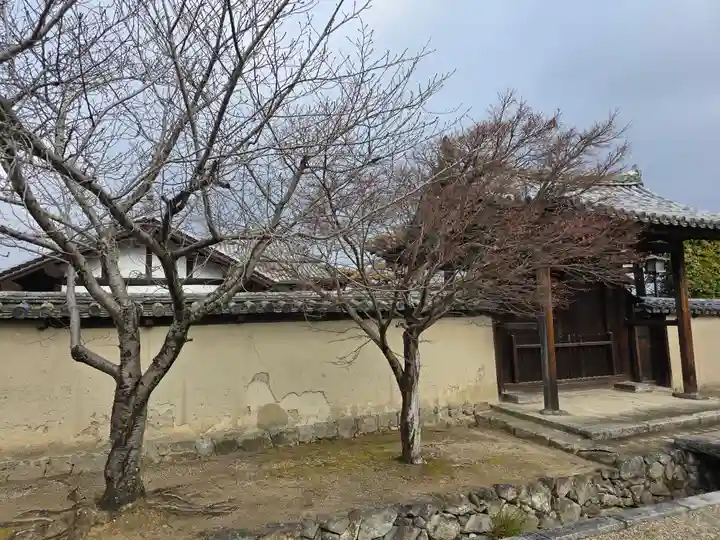 律学院(奈良県)