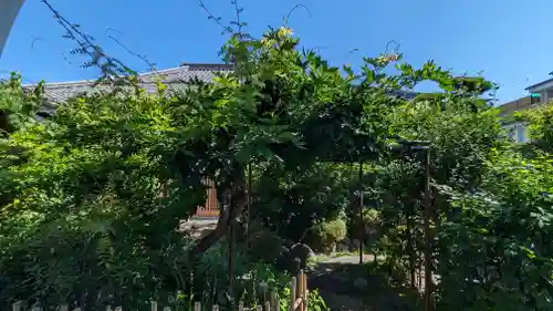 圓通寺(京都府)