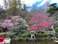 長谷寺の手水舎