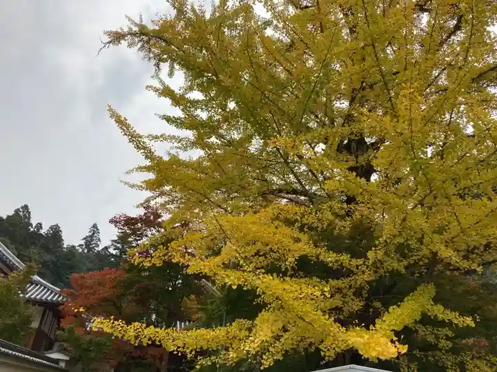 一乗寺(兵庫県)