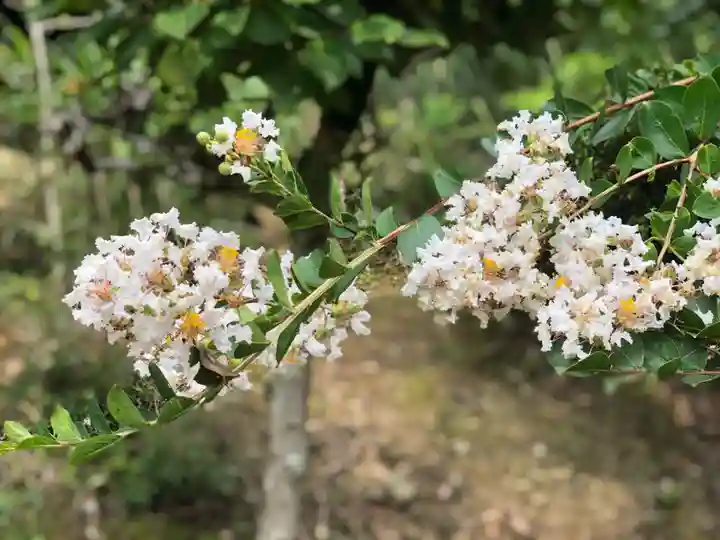 木舟山 順教寺の自然
