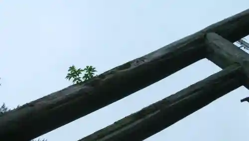 飯生神社(北海道)
