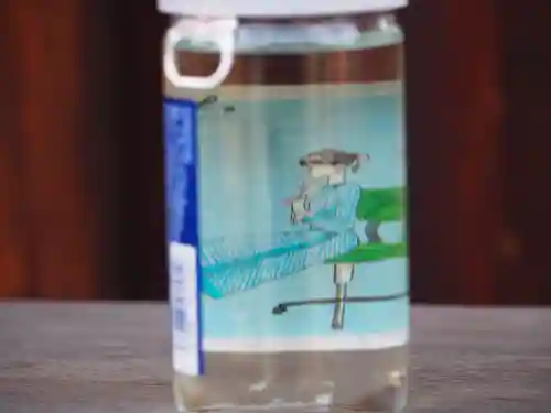 難波大社　生國魂神社(大阪府)