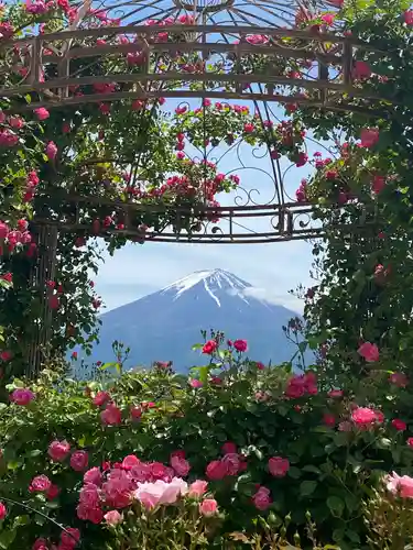 北口本宮冨士浅間神社の景色