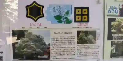 沙沙貴神社(滋賀県)