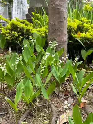 開成山大神宮(福島県)