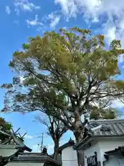 彌刀神社(大阪府)