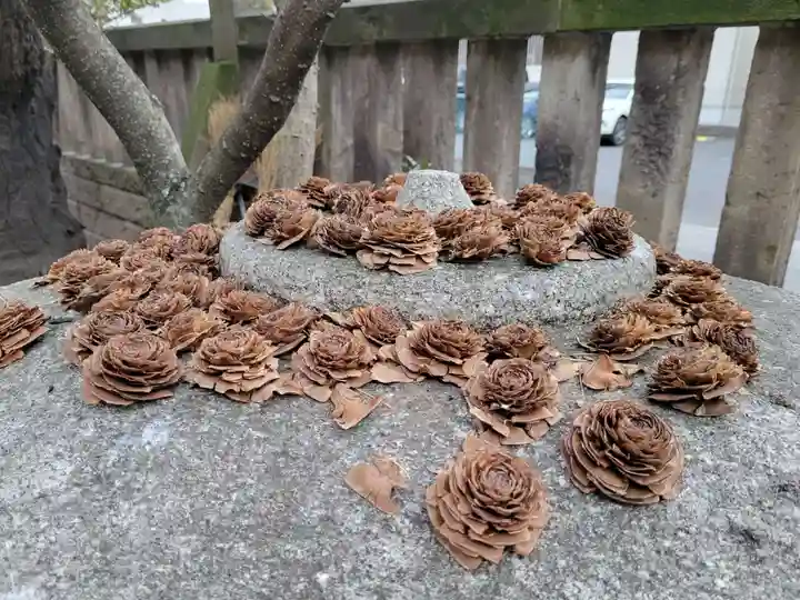 氷川鍬神社の自然