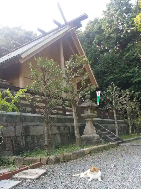 上宮天満宮の本殿・本堂