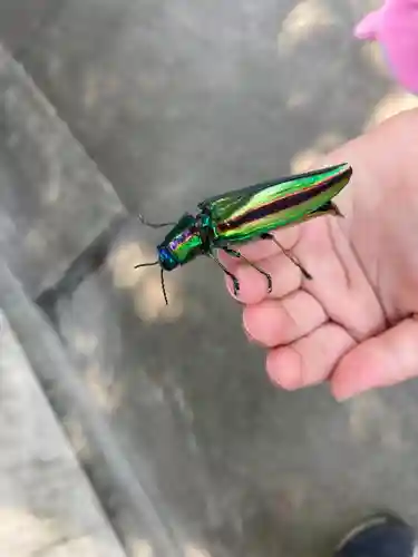 瀧宮神社(広島県)