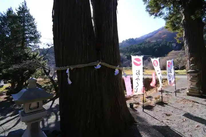 高司神社〜むすびの神の鎮まる社〜の自然