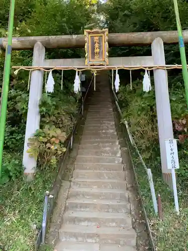 思金神社の鳥居