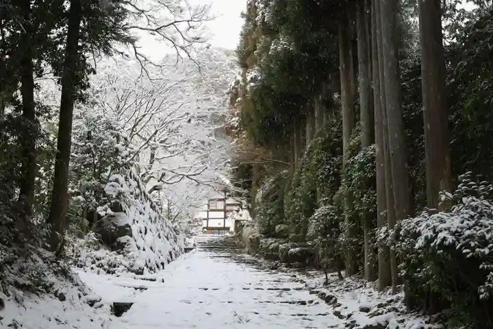 正伝護国禅寺(正伝寺・正傳寺)(京都府)