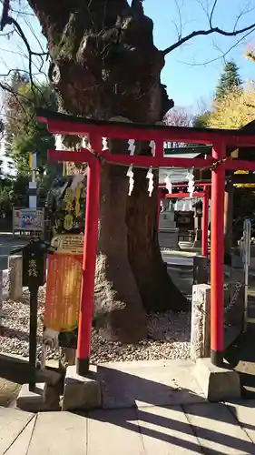 新田神社の鳥居