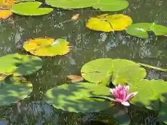 法起寺の自然