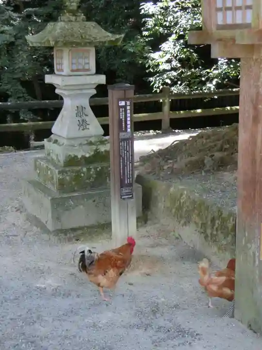 石上神宮の動物