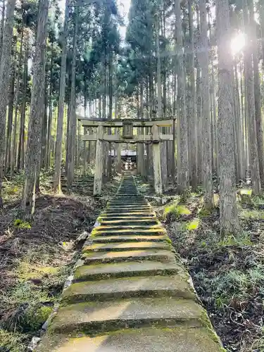 賀茂神社(京都府)