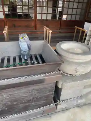 鶴満寺(大阪府)