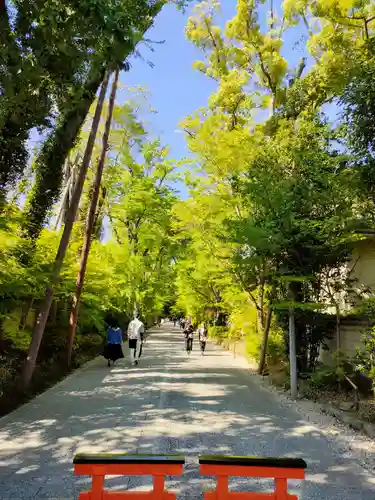 賀茂御祖神社（下鴨神社）(京都府)