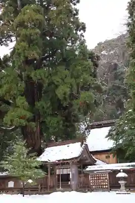若狭姫神社（若狭彦神社下社）(福井県)