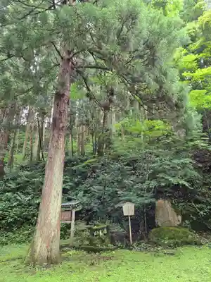 薬師寺(石川県)