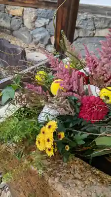 興聖寺（興聖寶林禅寺）の手水舎