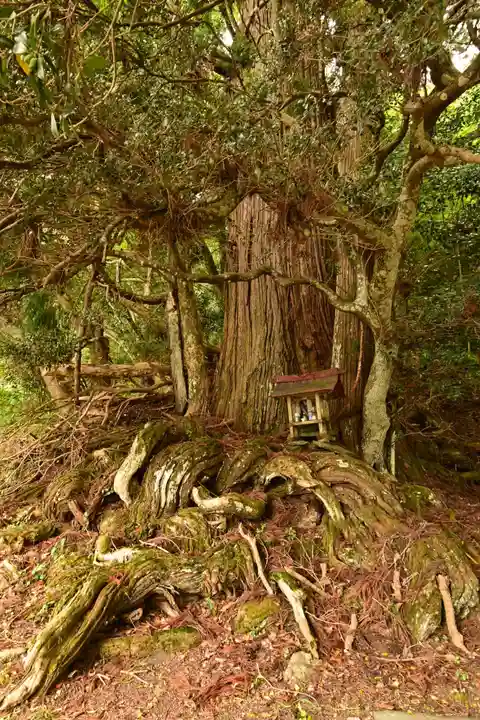 鉾神社(徳島県)