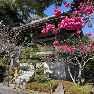 長谷寺(神奈川県)