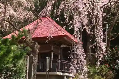 常林寺のその他建物