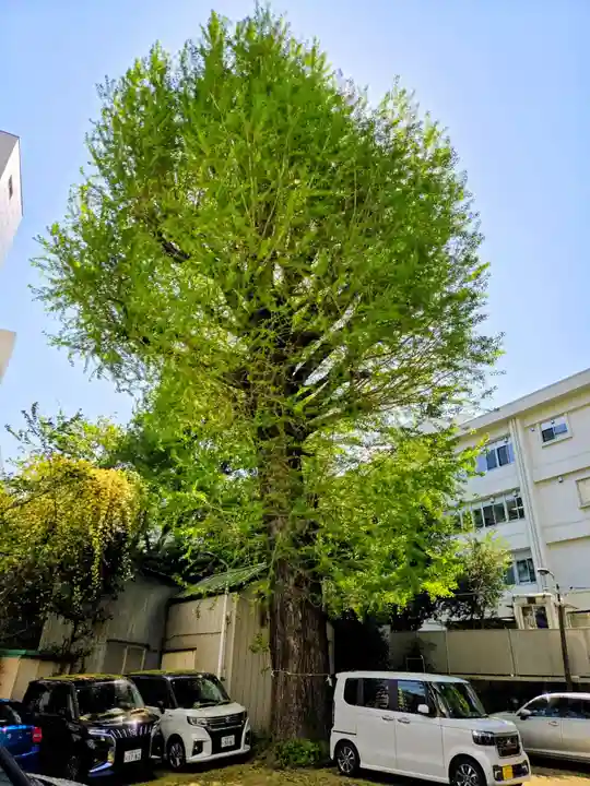 腰掛稲荷神社(東京都)