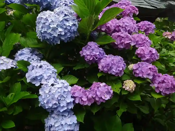 立志神社の自然