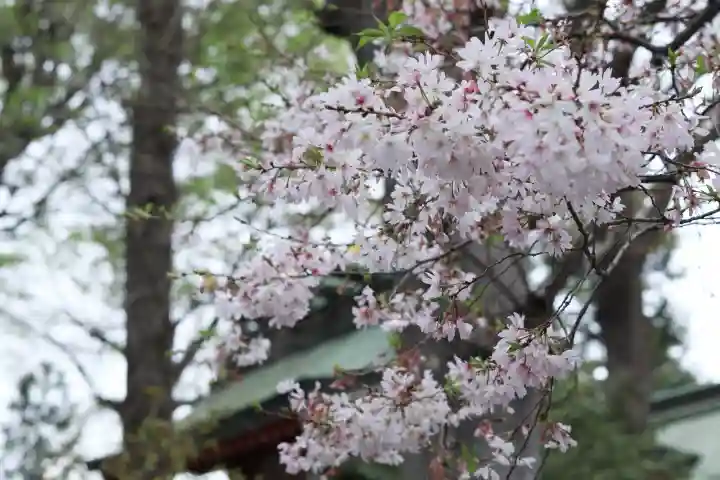 川越八幡宮の{uncategorized: "未分類", other: "その他", undefined: "問題あり", building: "その他建物", grave: "お墓", sacred_gate: "鳥居", guardian: "狛犬", statue: "像", buddha: "仏像", history: "歴史", nature: "自然", garden: "庭園", animal: "動物", pagoda: "塔", temizu: "手水舎", mountain_gate: "山門・神門", sanctuary: "本殿・本堂", subordinate: "末社・摂社", art: "芸術", scenery: "景色", jizo: "地蔵", ema: "絵馬", goshuin: "御朱印", omikuji: "おみくじ", items: "授与品その他", amulet: "お守り", goshuincho: "御朱印帳", eats: "食事", festival: "お祭り", votive_dance: "神楽", shichigosan: "七五三参", wedding: "結婚式", experience: "体験その他", initially: "初詣", around: "周辺", anti_infection: "感染症対策"}