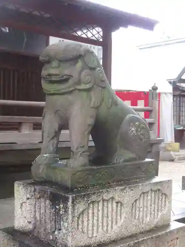 百舌鳥八幡宮の狛犬