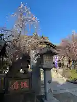牛天神北野神社(東京都)