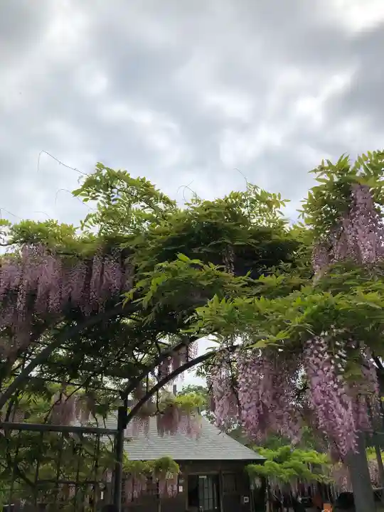和気神社の自然