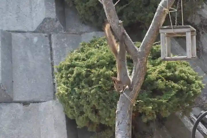 宝光寺(北海道)