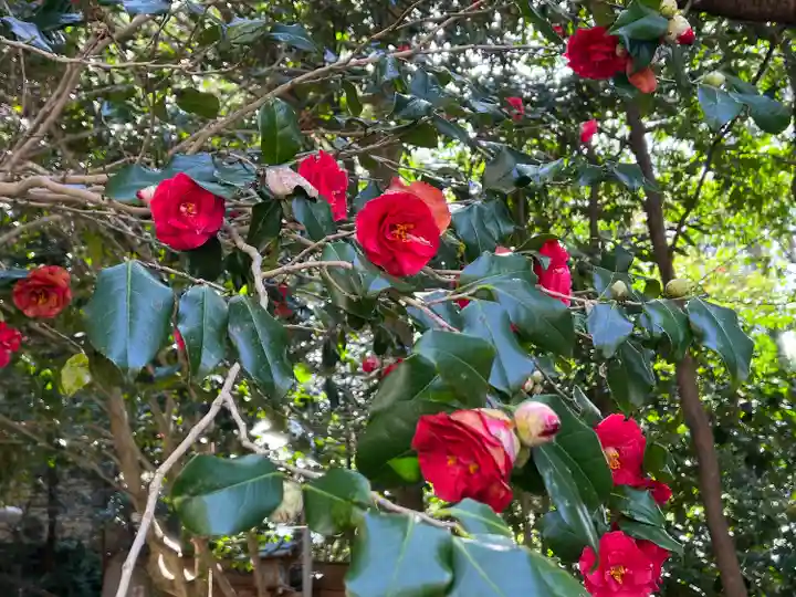 大豊神社(京都府)