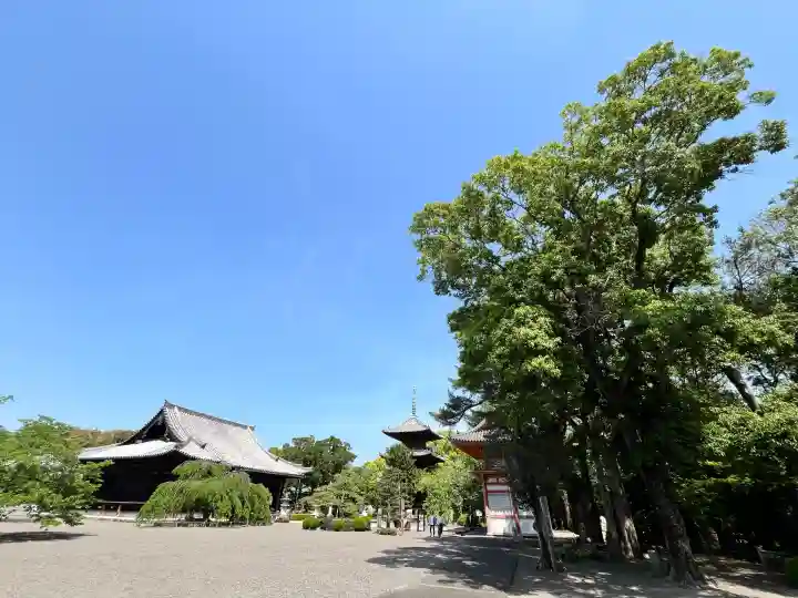 道成寺(和歌山県)