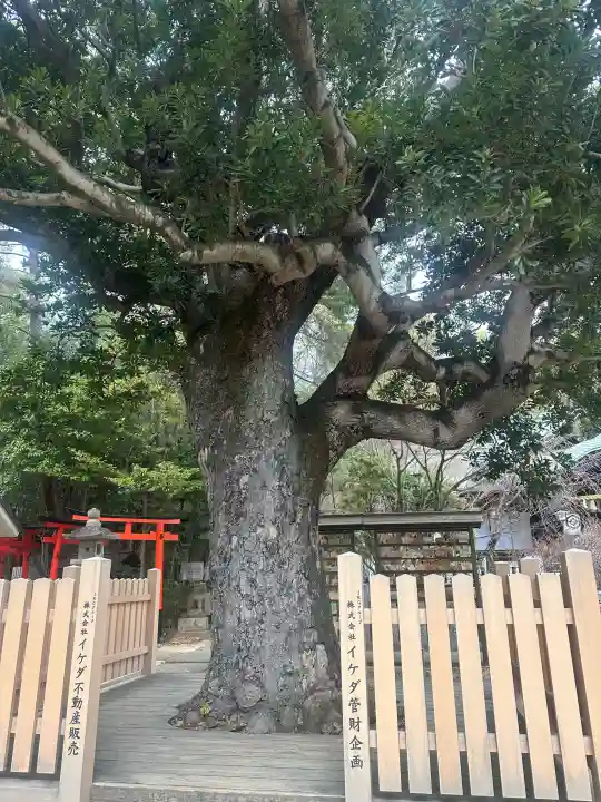 芦屋神社の{uncategorized: "未分類", other: "その他", undefined: "問題あり", building: "その他建物", grave: "お墓", sacred_gate: "鳥居", guardian: "狛犬", statue: "像", buddha: "仏像", history: "歴史", nature: "自然", garden: "庭園", animal: "動物", pagoda: "塔", temizu: "手水舎", mountain_gate: "山門・神門", sanctuary: "本殿・本堂", subordinate: "末社・摂社", art: "芸術", scenery: "景色", jizo: "地蔵", ema: "絵馬", goshuin: "御朱印", omikuji: "おみくじ", items: "授与品その他", amulet: "お守り", goshuincho: "御朱印帳", eats: "食事", festival: "お祭り", votive_dance: "神楽", shichigosan: "七五三参", wedding: "結婚式", experience: "体験その他", initially: "初詣", around: "周辺", anti_infection: "感染症対策"}