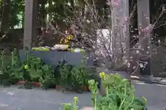 東海市熊野神社の手水