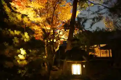 高台寺（高台寿聖禅寺・高臺寺）(京都府)