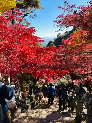 大山寺(神奈川県)