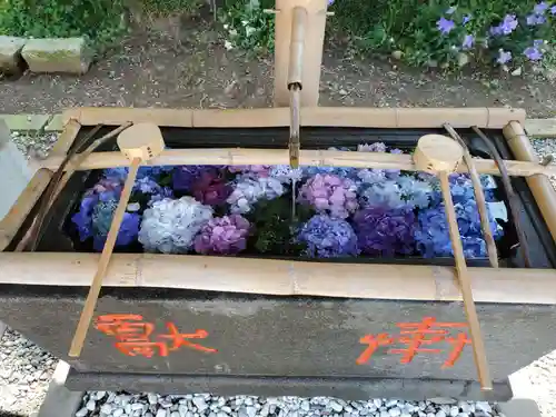 赤城神社の手水