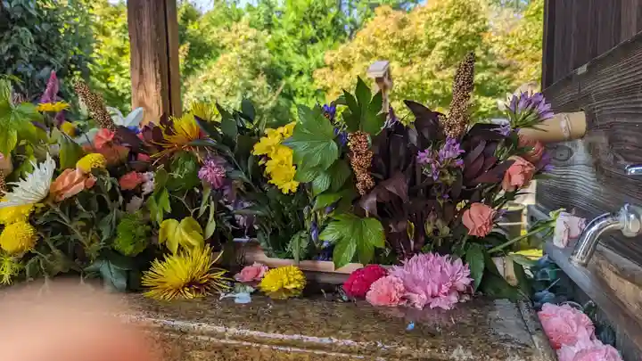 勝林寺(京都府)