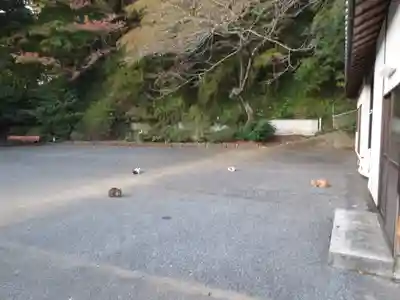唐澤山神社のその他建物
