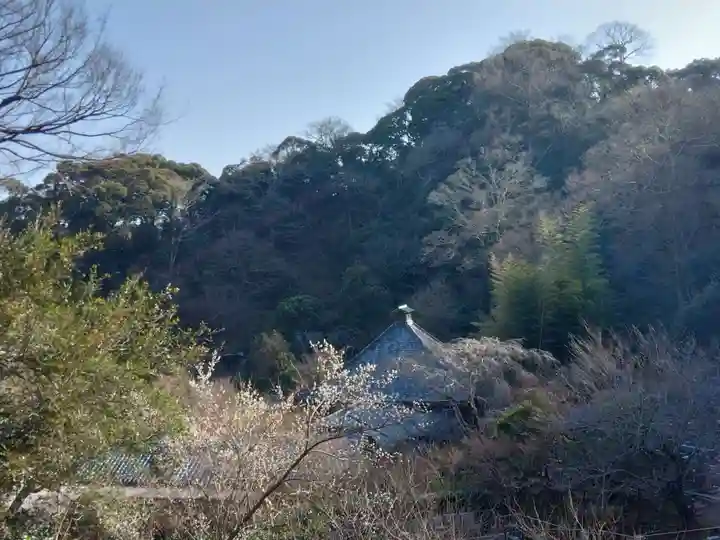 光則寺(神奈川県)