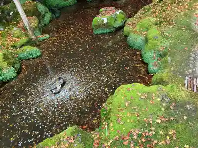 慈照寺（慈照禅寺・銀閣寺）(京都府)