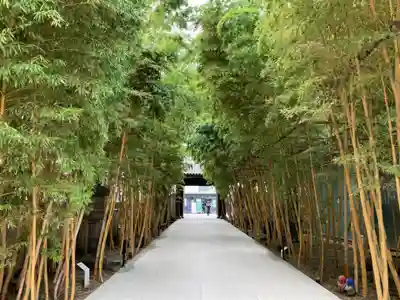 梅窓院の山門・神門