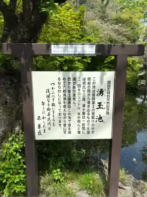富士山本宮浅間大社(静岡県)