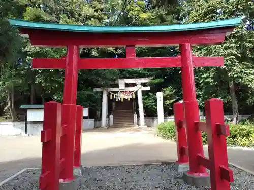 千束八幡神社の鳥居